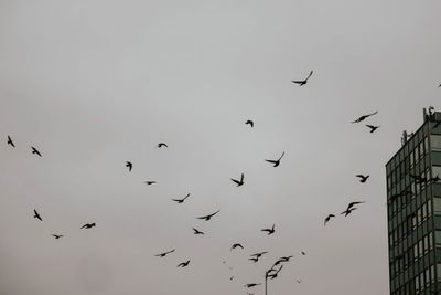 g13/64/477964/3/175398400.9393fb50.JPEG