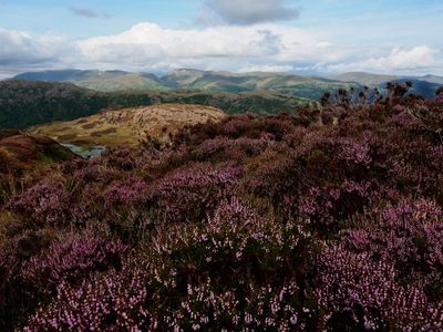 Lake District Landscape