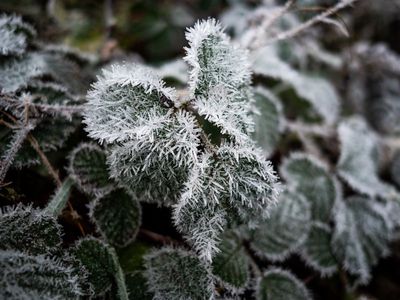 Graystones, The Lake District, UK