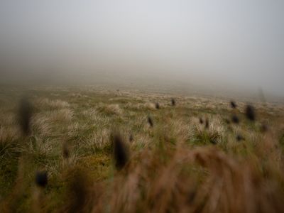 g13/64/477964/3/175429101.231cbe54.JPEG