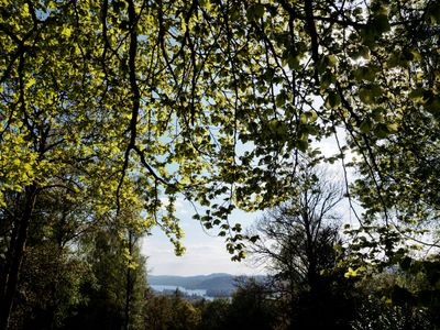 g13/64/477964/3/175433637.cd746812.JPEG