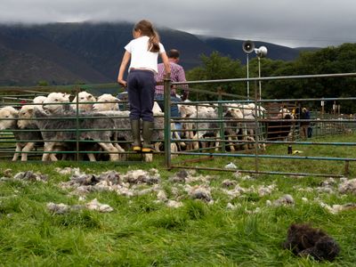 Keswick Show 2023