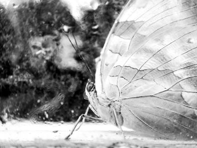 g13/64/477964/3/175492207.e14f11c3.JPEG
