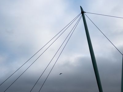 g13/64/477964/3/175492230.11db0819.JPEG