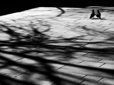 g13/64/477964/3/175492323.289a596e.JPEG