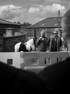 g13/64/477964/3/175511719.c6b73fd1.JPEG