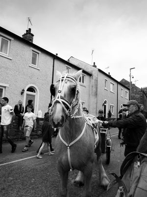Appleby Horse Fair, Appleby-in-Westmorland, UK