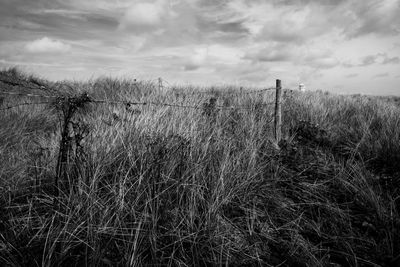 To The Lighthouse, Walney Island, UK