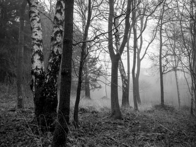 g13/64/477964/3/175547407.4a0e8b69.JPEG
