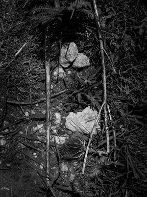 g13/64/477964/3/175557930.2648219a.JPEG