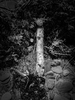 g13/64/477964/3/175557949.d62ba480.JPEG