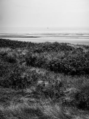 g13/64/477964/3/175557959.55e85b75.JPEG