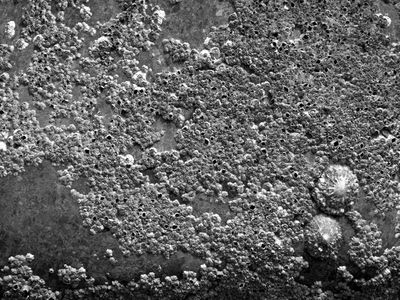 g13/64/477964/3/175557982.30623e97.JPEG