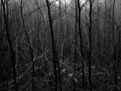 g13/64/477964/3/175561123.ac9f64f4.JPEG