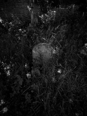 g13/64/477964/3/175564183.7333630a.JPEG