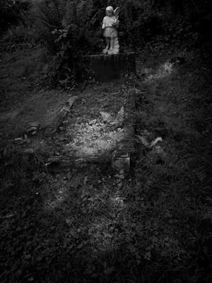 The Graveyard Was For All The Loss 