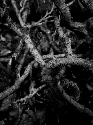 g13/64/477964/3/175597198.5823645d.JPEG