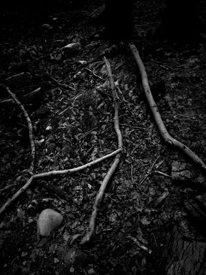 g13/64/477964/3/175597201.4bfe3807.JPEG
