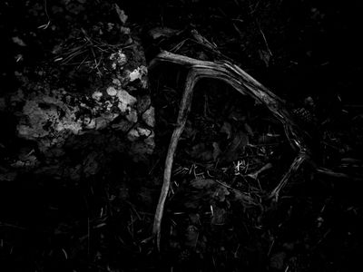 g13/64/477964/3/175597217.4800d7aa.JPEG
