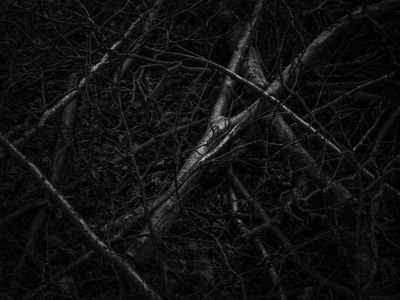 g13/64/477964/3/175597230.103a1abe.JPEG