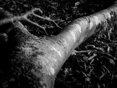 g13/64/477964/3/175597235.6c0f6a49.JPEG