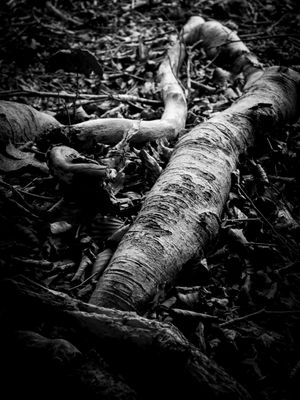 g13/64/477964/3/175597244.3105d359.JPEG