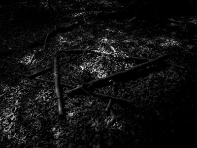 g13/64/477964/3/175597245.cc572e5b.JPEG