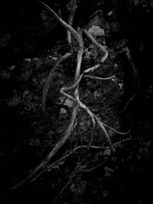 g13/64/477964/3/175597252.4582d635.JPEG