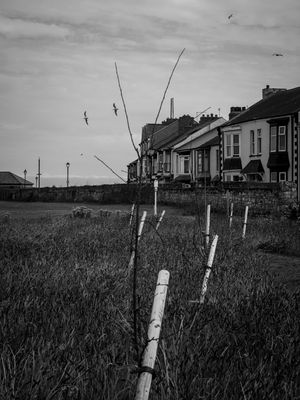 g13/64/477964/3/175617209.ebb2593e.JPEG