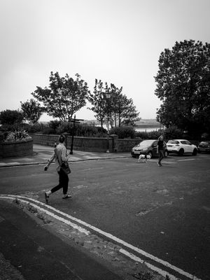 g13/64/477964/3/175617222.2ee7f925.JPEG