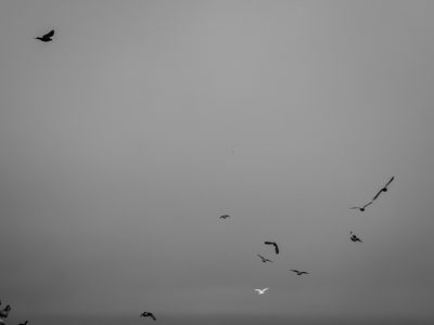 g13/64/477964/3/175617229.e54fe593.JPEG