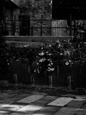 g13/64/477964/3/175620746.2150588d.JPEG