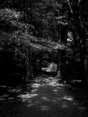g13/64/477964/3/175689509.ccad6ac9.JPEG