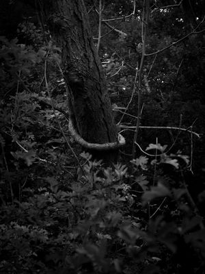 g13/64/477964/3/175692573.e7f6f74c.JPEG