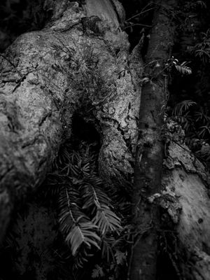 g13/64/477964/3/175692578.3f1addc0.JPEG