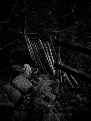 Warton Crag, Warton, UK