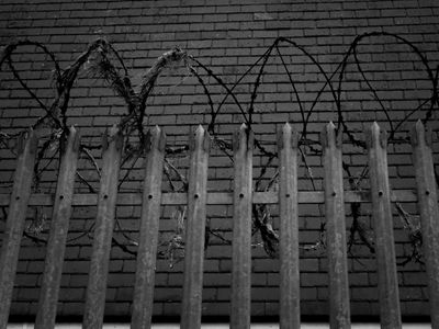 g13/64/477964/3/175698098.124f001e.JPEG