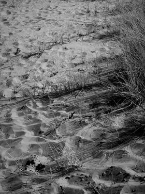 g13/64/477964/3/175698136.64241733.JPEG