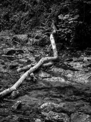 Janet's Foss, Malham, UK