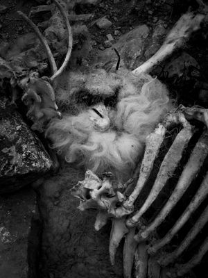 Goredale Scar, near Malham, UK