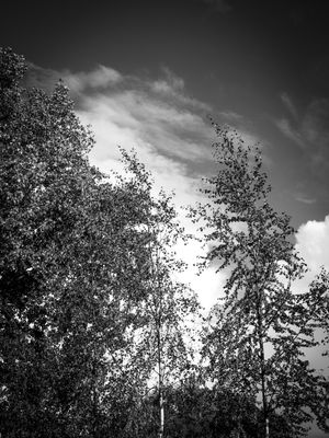 g13/64/477964/3/175817421.b987cb60.JPEG