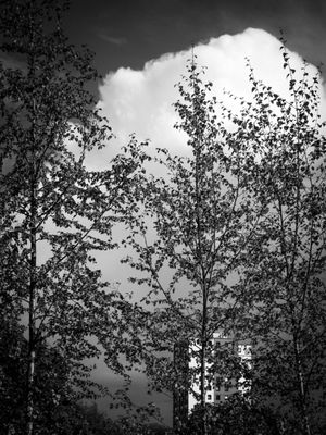 g13/64/477964/3/175817422.2f3c2295.JPEG