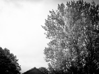 g13/64/477964/3/175817457.762e6c95.JPEG