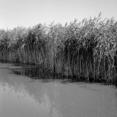 Zenza Bronica