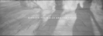 Videography: Between The Walls and The Trees [2025]
