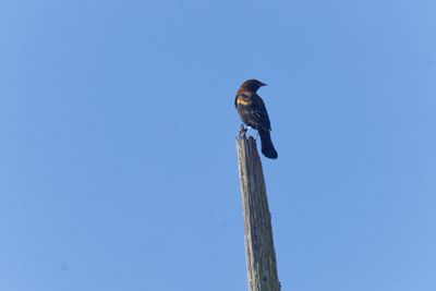 ASI05817_DxO.jpg