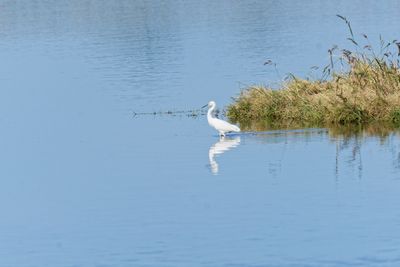 ASI05876_DxO.jpg