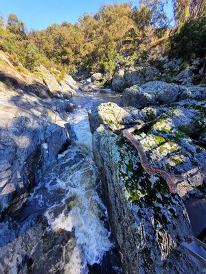 Wollomombi Falls