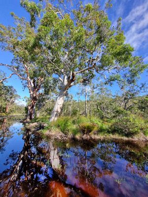 Myall Lakes