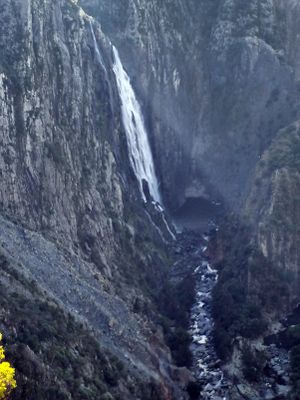 Wollomombi Falls